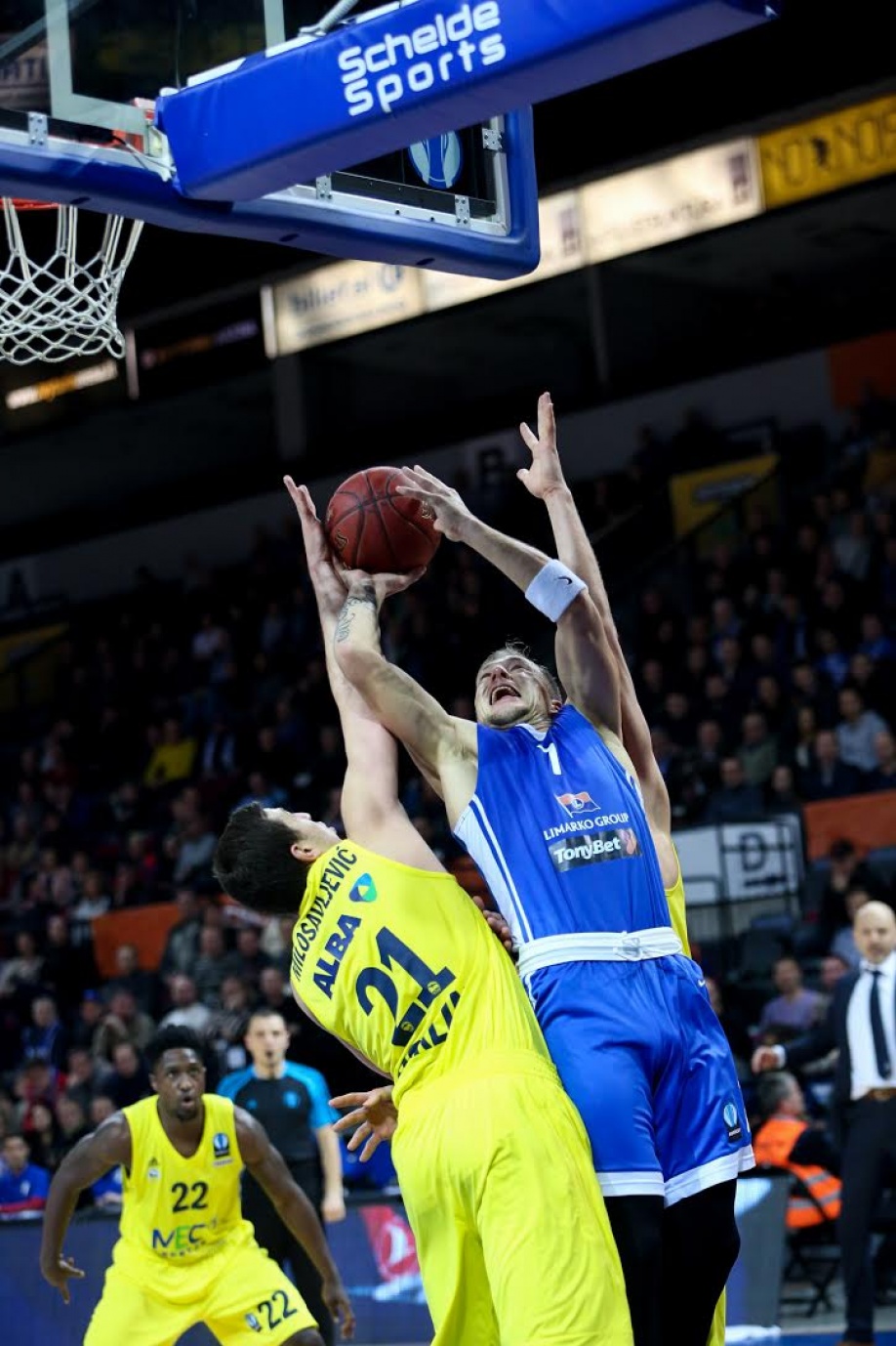 neptunas_alba1