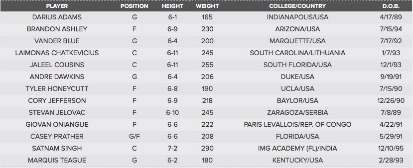 mavericks_summer_league_roster_2016